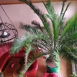 Pod Palmou Gerlachov Guest house