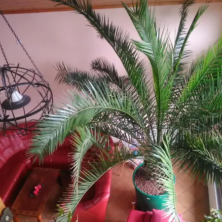 Pod Palmou Gerlachov Gasthof