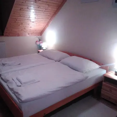 Pod Palmou Gerlachov Penzion